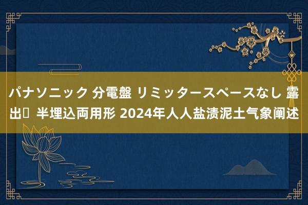 パナソニック 分電盤 リミッタースペースなし 露出・半埋込両用形 2024年人人盐渍泥土气象阐述