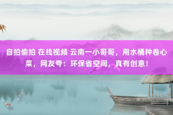 自拍偷拍 在线视频 云南一小哥哥，用水桶种卷心菜，网友夸：环保省空间，真有创意！