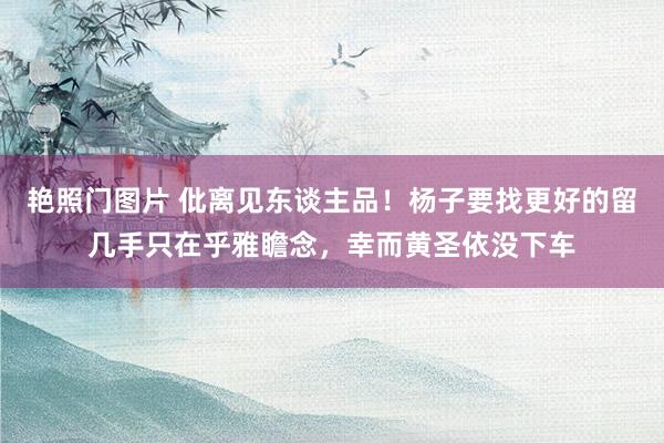艳照门图片 仳离见东谈主品！杨子要找更好的留几手只在乎雅瞻念，幸而黄圣依没下车