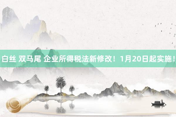 白丝 双马尾 企业所得税法新修改！1月20日起实施！
