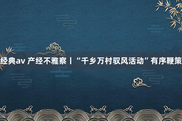 经典av 产经不雅察丨“千乡万村驭风活动”有序鞭策