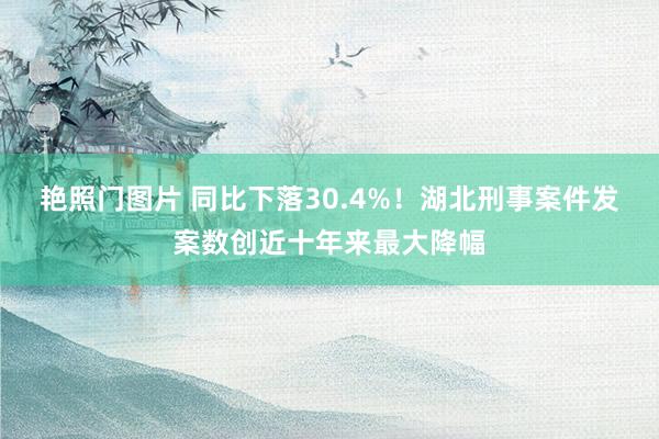 艳照门图片 同比下落30.4%！湖北刑事案件发案数创近十年来最大降幅
