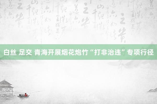 白丝 足交 青海开展烟花炮竹“打非治违”专项行径