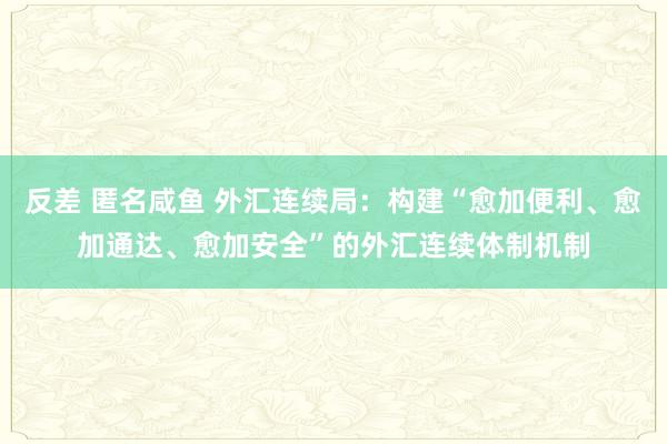 反差 匿名咸鱼 外汇连续局：构建“愈加便利、愈加通达、愈加安全”的外汇连续体制机制