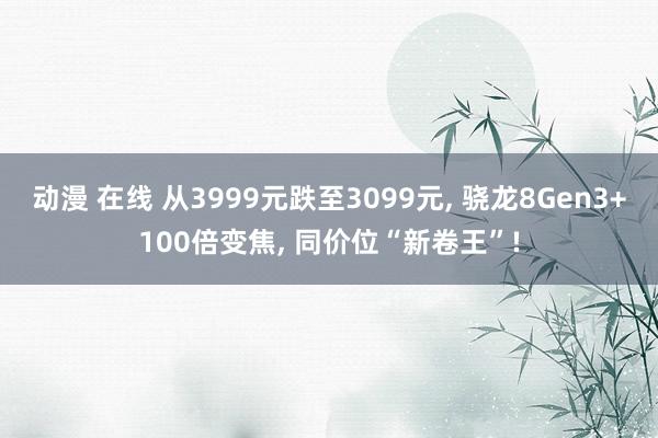 动漫 在线 从3999元跌至3099元， 骁龙8Gen3+100倍变焦， 同价位“新卷王”!