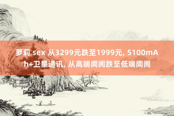 萝莉 sex 从3299元跌至1999元， 5100mAh+卫星通讯， 从高端阛阓跌至低端阛阓