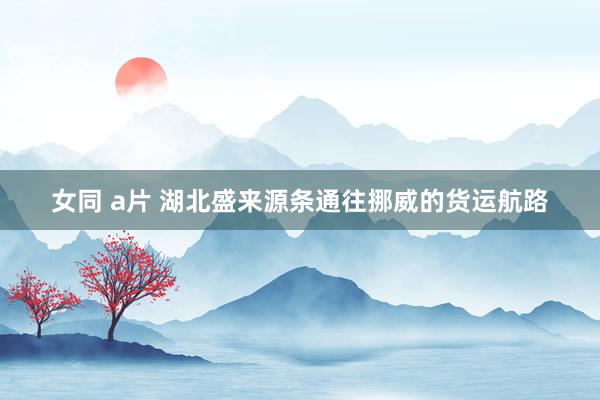 女同 a片 湖北盛来源条通往挪威的货运航路