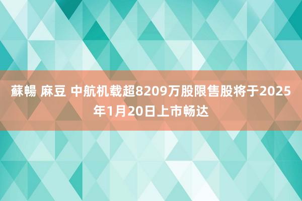 蘇暢 麻豆 中航机载超8209万股限售股将于2025年1月20日上市畅达