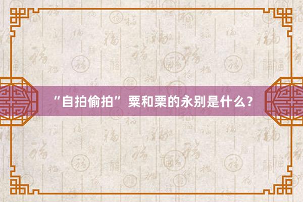 “自拍偷拍” 粟和栗的永别是什么？