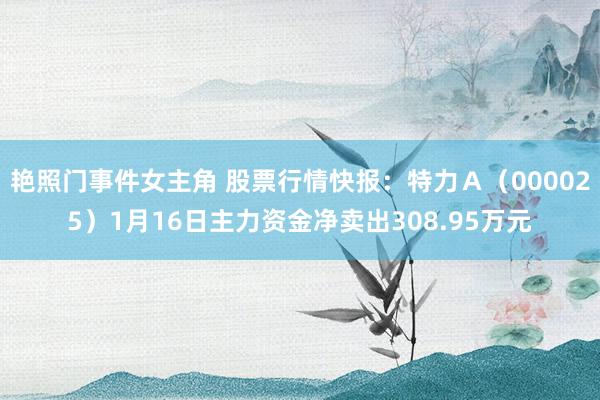 艳照门事件女主角 股票行情快报：特力Ａ（000025）1月16日主力资金净卖出308.95万元