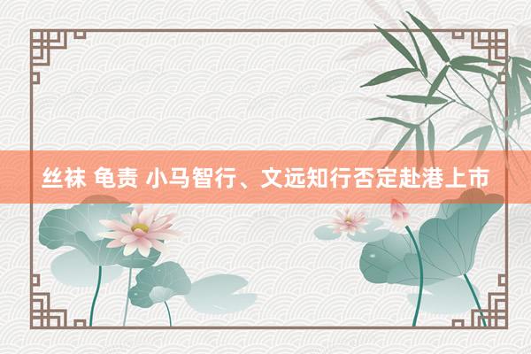丝袜 龟责 小马智行、文远知行否定赴港上市