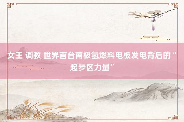 女王 调教 世界首台南极氢燃料电板发电背后的“起步区力量”