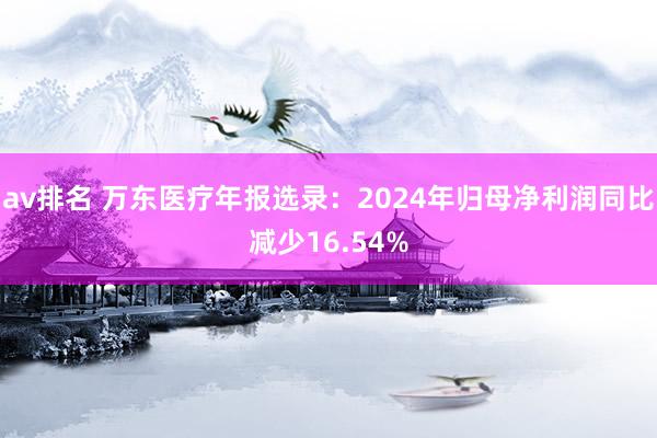 av排名 万东医疗年报选录：2024年归母净利润同比减少16.54%