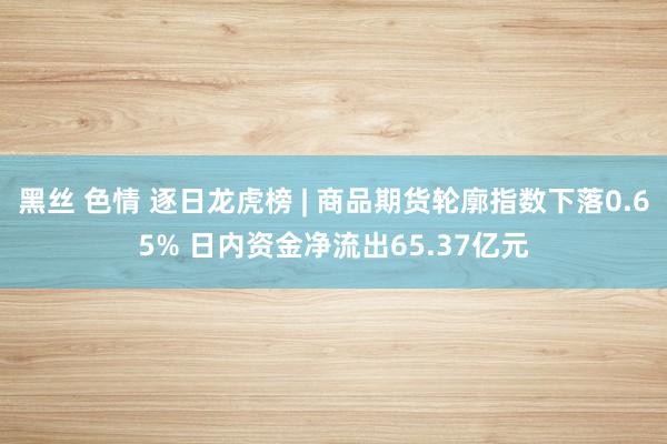 黑丝 色情 逐日龙虎榜 | 商品期货轮廓指数下落0.65% 日内资金净流出65.37亿元