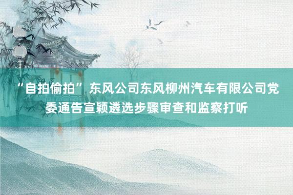“自拍偷拍” 东风公司东风柳州汽车有限公司党委通告宣颖遴选步骤审查和监察打听