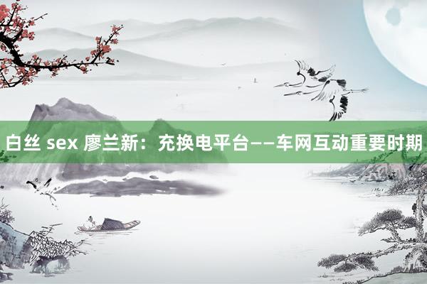 白丝 sex 廖兰新：充换电平台——车网互动重要时期