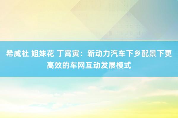 希威社 姐妹花 丁霄寅：新动力汽车下乡配景下更高效的车网互动发展模式