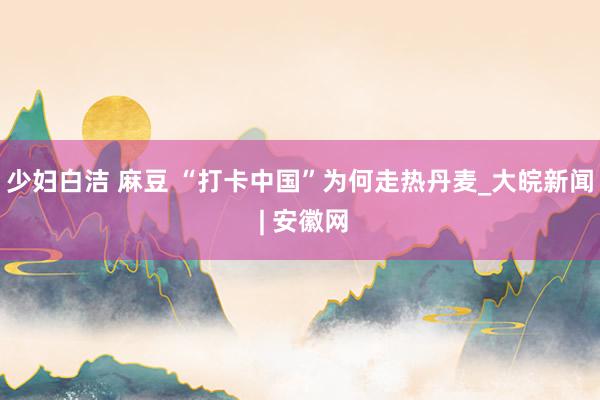 少妇白洁 麻豆 “打卡中国”为何走热丹麦_大皖新闻 | 安徽网