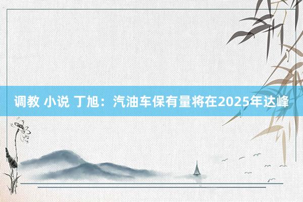 调教 小说 丁旭：汽油车保有量将在2025年达峰
