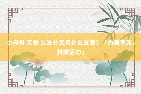 小母狗 文爱 头发分叉用什么发膜？「秀美革新，抖擞活力」
