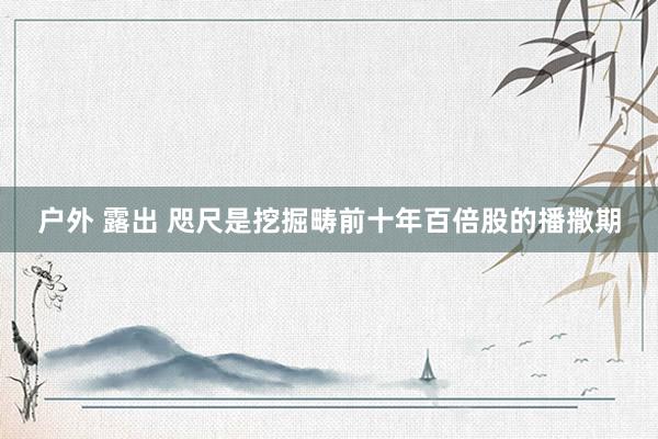 户外 露出 咫尺是挖掘畴前十年百倍股的播撒期