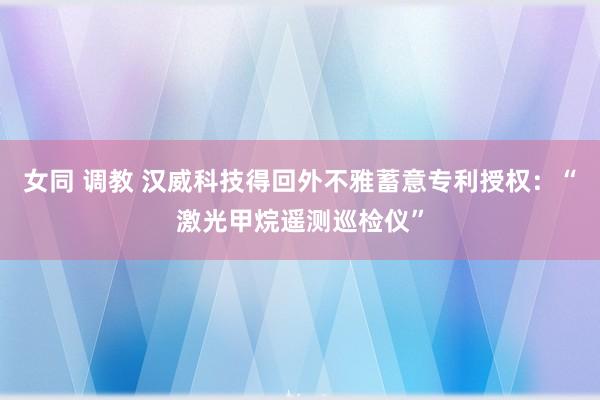 女同 调教 汉威科技得回外不雅蓄意专利授权：“激光甲烷遥测巡检仪”