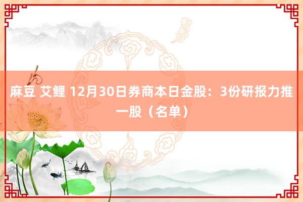 麻豆 艾鲤 12月30日券商本日金股：3份研报力推一股（名单）