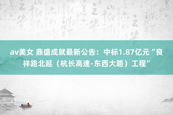 av美女 鼎盛成就最新公告：中标1.87亿元“良祥路北延（杭长高速-东西大路）工程”