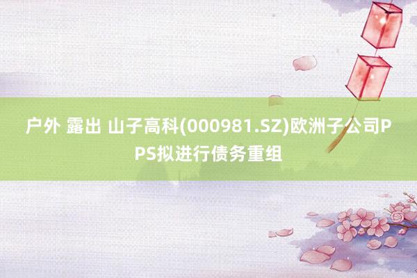 户外 露出 山子高科(000981.SZ)欧洲子公司PPS拟进行债务重组