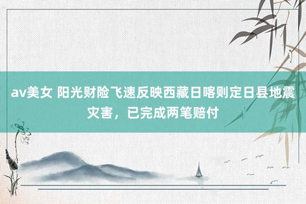 av美女 阳光财险飞速反映西藏日喀则定日县地震灾害，已完成两笔赔付