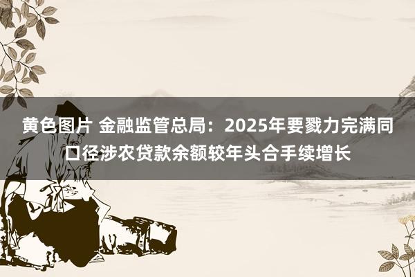 黄色图片 金融监管总局：2025年要戮力完满同口径涉农贷款余额较年头合手续增长
