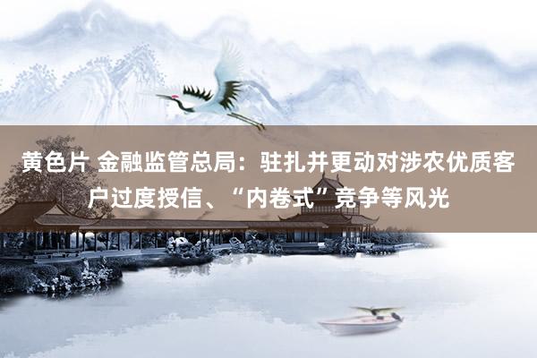 黄色片 金融监管总局：驻扎并更动对涉农优质客户过度授信、“内卷式”竞争等风光