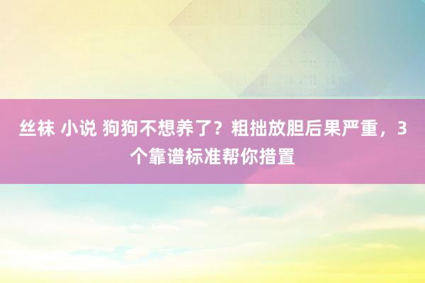丝袜 小说 狗狗不想养了？粗拙放胆后果严重，3个靠谱标准帮你措置