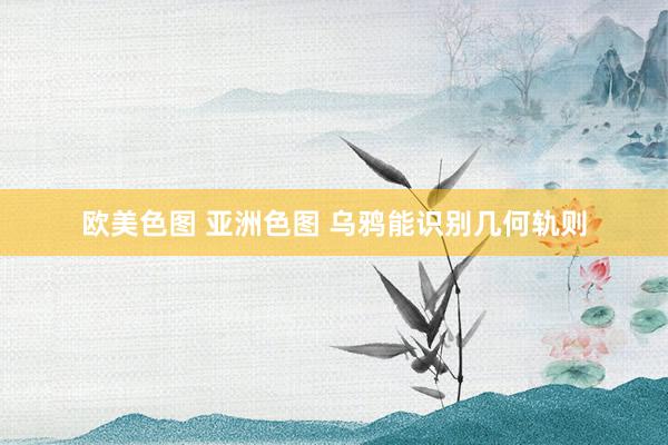 欧美色图 亚洲色图 乌鸦能识别几何轨则