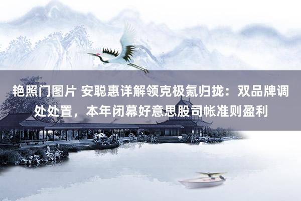 艳照门图片 安聪惠详解领克极氪归拢：双品牌调处处置，本年闭幕好意思股司帐准则盈利