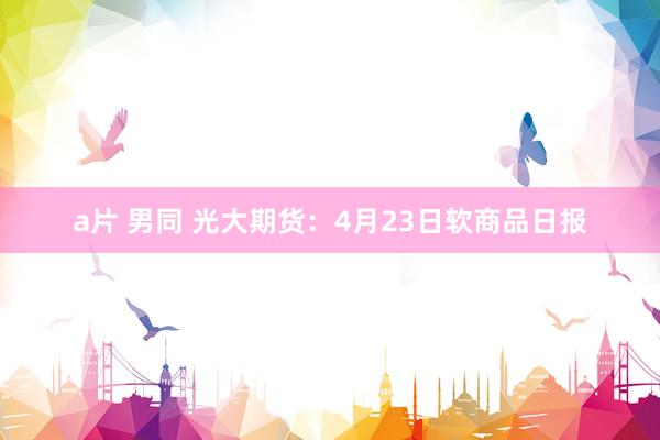 a片 男同 光大期货：4月23日软商品日报