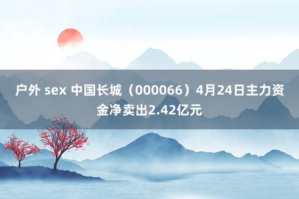 户外 sex 中国长城（000066）4月24日主力资金净卖出2.42亿元