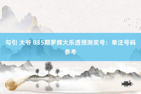 勾引 大爷 035期罗辉大乐透预测奖号：单注号码参考