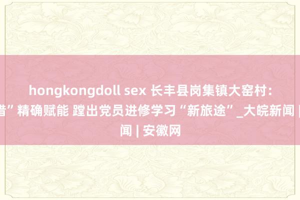 hongkongdoll sex 长丰县岗集镇大窑村：“三举措”精确赋能 蹚出党员进修学习“新旅途”_大皖新闻 | 安徽网
